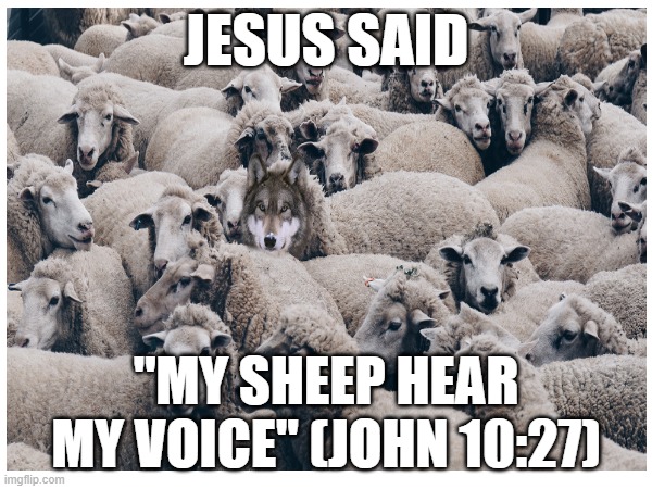 Sheep Are Woke | JESUS SAID; "MY SHEEP HEAR MY VOICE" (JOHN 10:27) | image tagged in jesus,jesus christ,salvation,eternal life | made w/ Imgflip meme maker