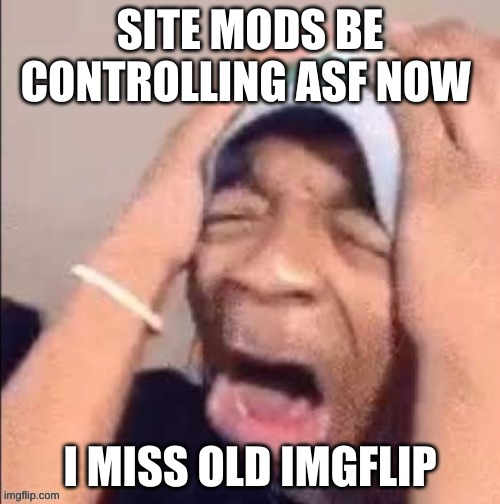 NOOOOOOOOOOOOOOOOOOOOOOOOOOOOOOOOOOOOOOOOOOOOOOOOOOOOOOOOOOOOOOO | SITE MODS BE CONTROLLING ASF NOW; I MISS OLD IMGFLIP | image tagged in nooooooooooooooooooooooooooooooooooooooooooooooooooooooooooooooo | made w/ Imgflip meme maker