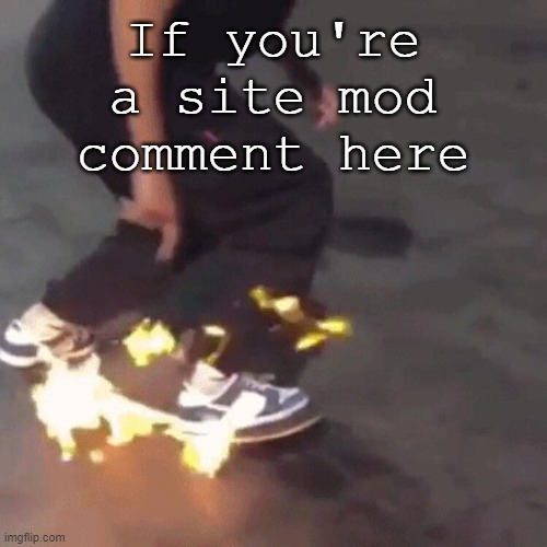 Skate | If you're a site mod comment here | image tagged in skate | made w/ Imgflip meme maker