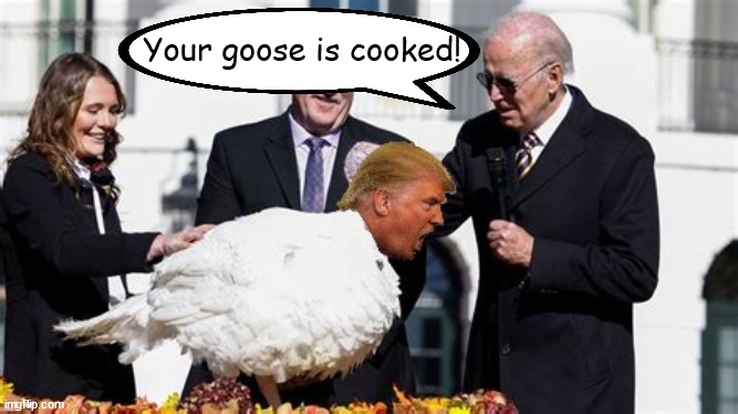 Trump seeks Presidential pardon | Your goose is cooked! | image tagged in presidential pardon,donald trump,turkey,thanksgiving,maga | made w/ Imgflip meme maker