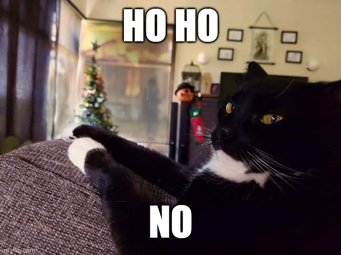 HO HO NO | HO HO; NO | image tagged in cats,grumpy cat,christmas,ho ho ho | made w/ Imgflip meme maker