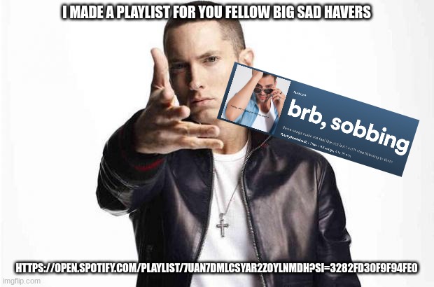 hope it helps :] | I MADE A PLAYLIST FOR YOU FELLOW BIG SAD HAVERS; HTTPS://OPEN.SPOTIFY.COM/PLAYLIST/7UAN7DMLCSYAR2ZOYLNMDH?SI=3282FD30F9F94FE0 | image tagged in eminem,spotify | made w/ Imgflip meme maker