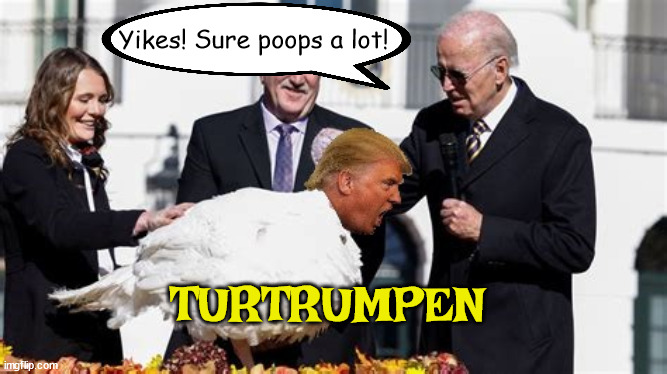 Turtrumpen | Yikes! Sure poops a lot! TURTRUMPEN | image tagged in donald trump,turkey,pardon,joe biden,maga | made w/ Imgflip meme maker