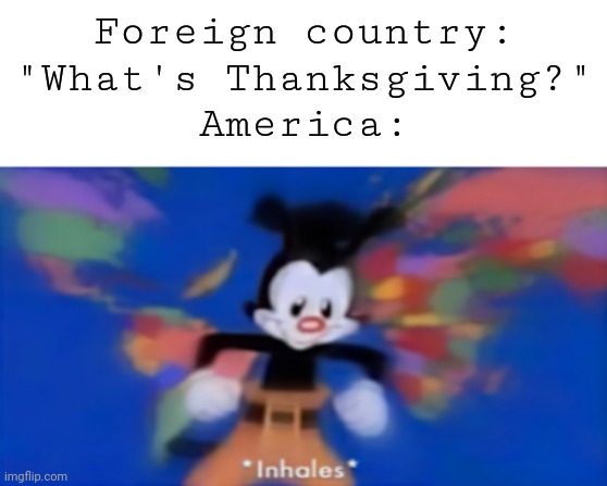 Yakko inhale | Foreign country: "What's Thanksgiving?"
America: | image tagged in yakko inhale | made w/ Imgflip meme maker