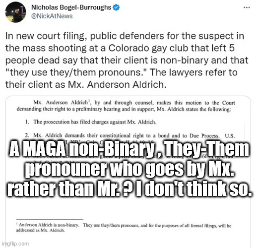A MAGA non-Binary , They-Them pronouner who goes by Mx. rather than Mr. ? I don't think so. | made w/ Imgflip meme maker