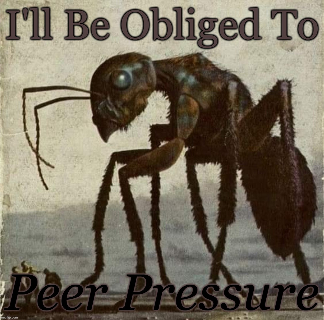 Giant Ant Peer Pressure |  I'll Be Obliged To; Peer Pressure | image tagged in insects | made w/ Imgflip meme maker