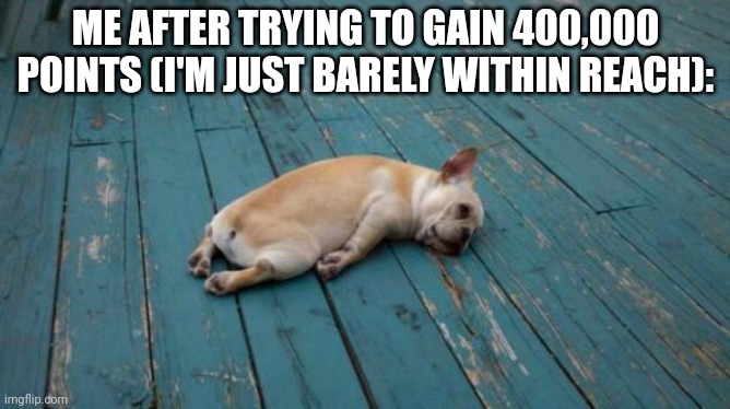 What the dog doin | ME AFTER TRYING TO GAIN 400,000 POINTS (I'M JUST BARELY WITHIN REACH): | image tagged in tired dog | made w/ Imgflip meme maker