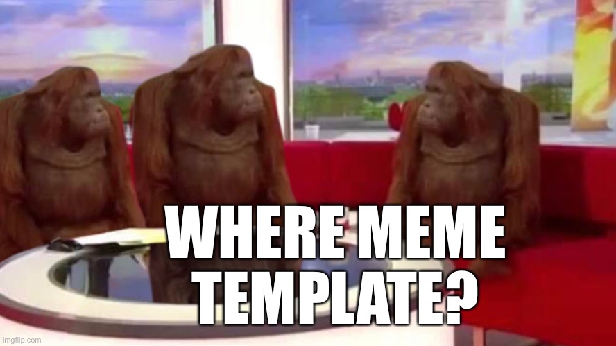 WHERE MEME TEMPLATE? | image tagged in orangutan interview | made w/ Imgflip meme maker