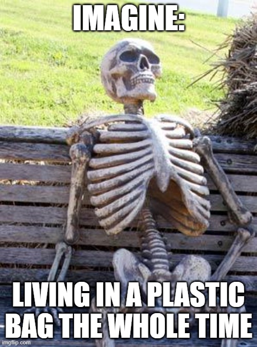 Skeleton | IMAGINE:; LIVING IN A PLASTIC BAG THE WHOLE TIME | image tagged in memes,waiting skeleton | made w/ Imgflip meme maker