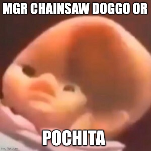 MGR CHAINSAW DOGGO OR; POCHITA | made w/ Imgflip meme maker