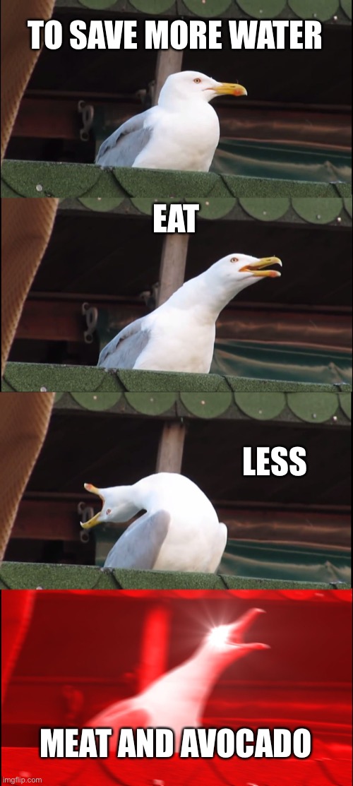 Inhaling Seagull Meme | TO SAVE MORE WATER; EAT; LESS; MEAT AND AVOCADO | image tagged in memes,inhaling seagull | made w/ Imgflip meme maker