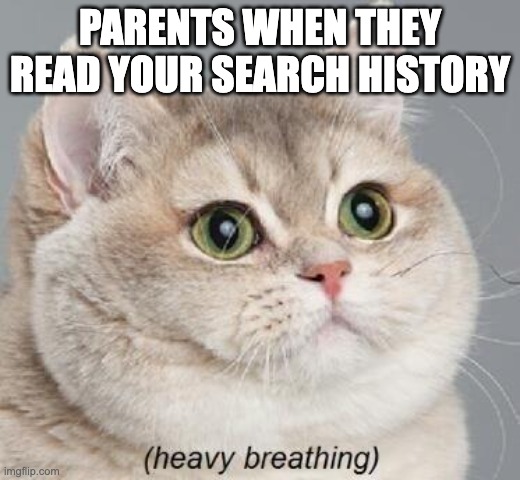 Heavy Breathing Cat | PARENTS WHEN THEY READ YOUR SEARCH HISTORY | image tagged in memes,heavy breathing cat | made w/ Imgflip meme maker