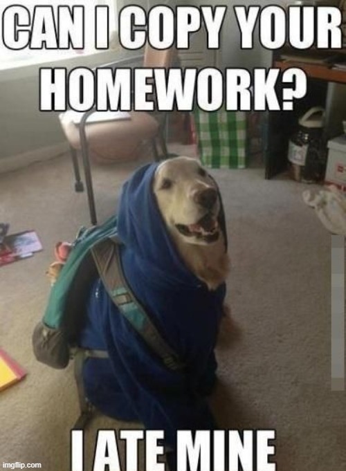 image tagged in middle school | made w/ Imgflip meme maker