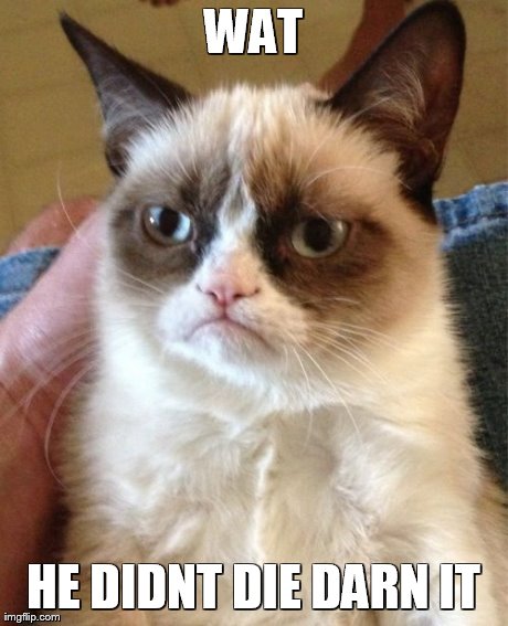 Grumpy Cat Meme | WAT HE DIDNT DIE
DARN IT | image tagged in memes,grumpy cat | made w/ Imgflip meme maker