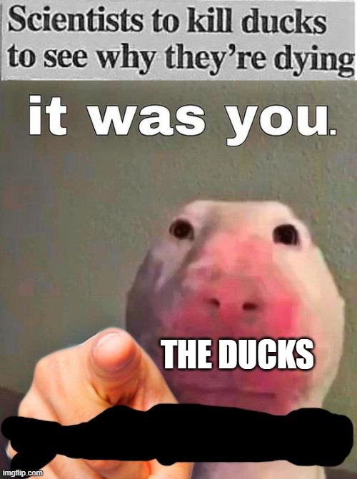 welp, at least we got a little bit of food supply~ | THE DUCKS | image tagged in it was you | made w/ Imgflip meme maker