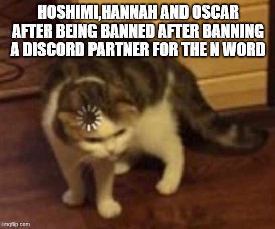 Loading cat | HOSHIMI,HANNAH AND OSCAR AFTER BEING BANNED AFTER BANNING A DISCORD PARTNER FOR THE N WORD | image tagged in loading cat | made w/ Imgflip meme maker