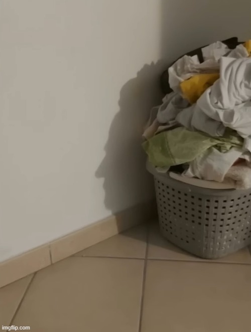 shadow looks like a person | image tagged in awesome | made w/ Imgflip meme maker