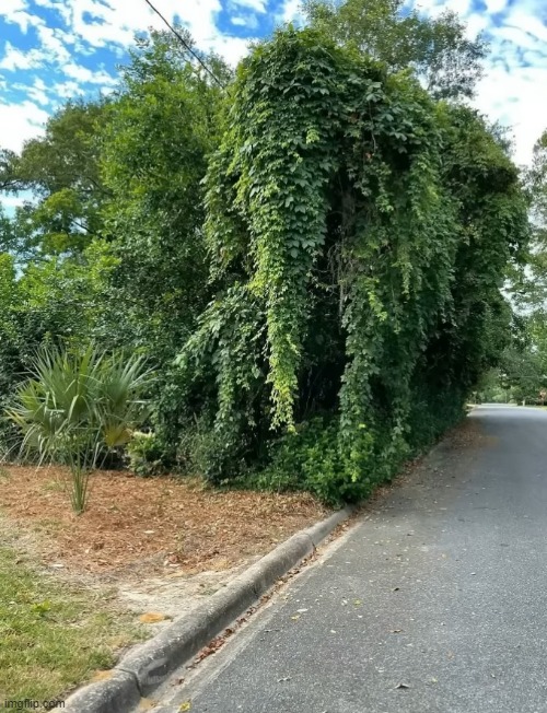 good cut | image tagged in awesome | made w/ Imgflip meme maker