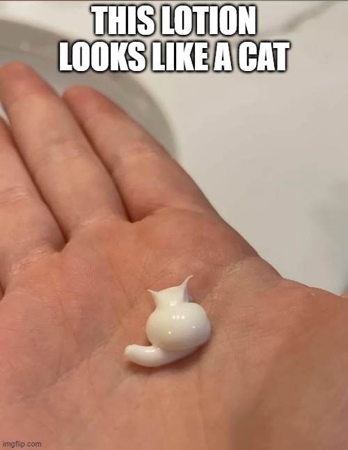 how crazy! | THIS LOTION LOOKS LIKE A CAT | image tagged in cats | made w/ Imgflip meme maker