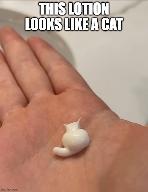 THIS LOTION LOOKS LIKE A CAT | image tagged in cats | made w/ Imgflip meme maker