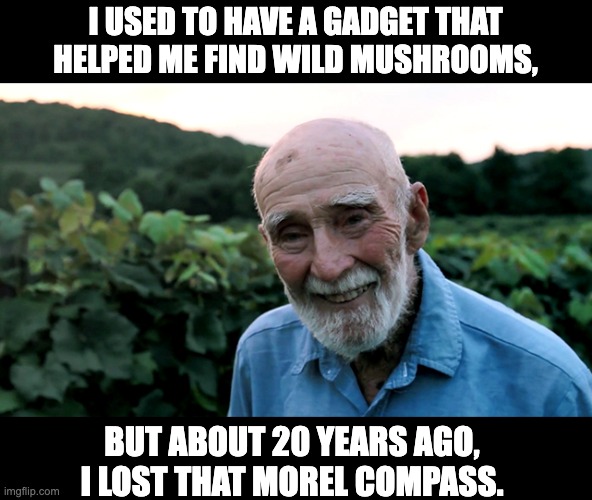 Compass | I USED TO HAVE A GADGET THAT HELPED ME FIND WILD MUSHROOMS, BUT ABOUT 20 YEARS AGO, I LOST THAT MOREL COMPASS. | image tagged in old man | made w/ Imgflip meme maker
