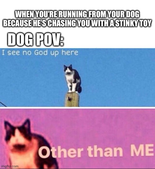 Doggo |  DOG POV:; WHEN YOU’RE RUNNING FROM YOUR DOG BECAUSE HE’S CHASING YOU WITH A STINKY TOY | image tagged in i see no god up here,doggo | made w/ Imgflip meme maker