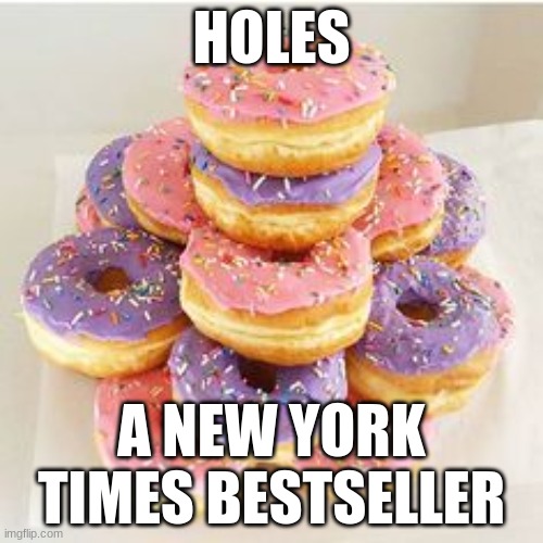Holes | HOLES; A NEW YORK TIMES BESTSELLER | image tagged in fun,lol so funny | made w/ Imgflip meme maker