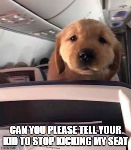 CAN YOU PLEASE TELL YOUR KID TO STOP KICKING MY SEAT | image tagged in dogs | made w/ Imgflip meme maker