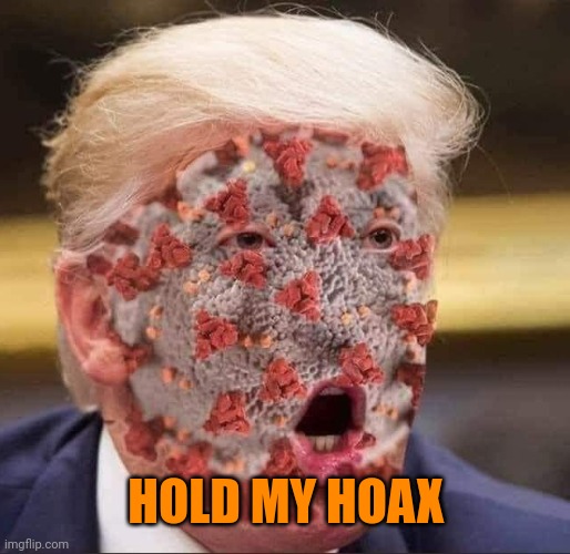 Trump's virus | HOLD MY HOAX | image tagged in trump's virus | made w/ Imgflip meme maker