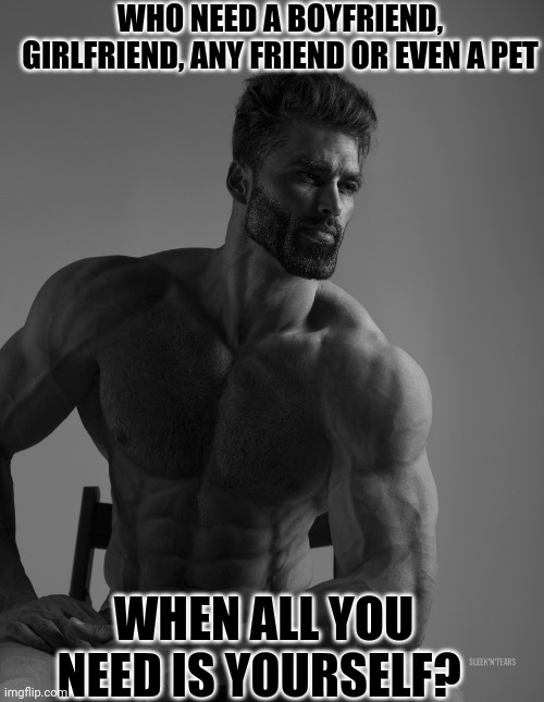 Giga Chad | WHO NEED A BOYFRIEND, GIRLFRIEND, ANY FRIEND OR EVEN A PET WHEN ALL YOU NEED IS YOURSELF? | image tagged in giga chad | made w/ Imgflip meme maker