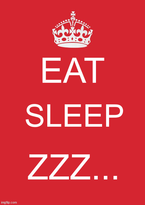 zzz | EAT; SLEEP; ZZZ... | image tagged in memes,keep calm and carry on red,sleep,food | made w/ Imgflip meme maker