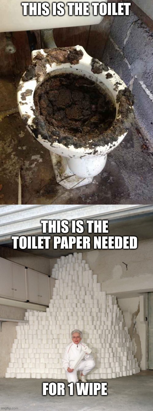 THIS IS THE TOILET THIS IS THE TOILET PAPER NEEDED FOR 1 WIPE | image tagged in toilet,mountain of toilet paper | made w/ Imgflip meme maker