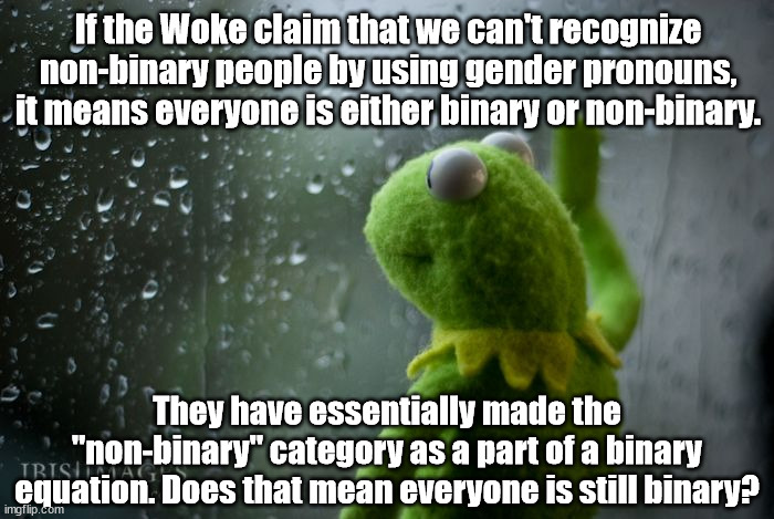 Everyone Is Still Binary | If the Woke claim that we can't recognize non-binary people by using gender pronouns, it means everyone is either binary or non-binary. They have essentially made the "non-binary" category as a part of a binary equation. Does that mean everyone is still binary? | image tagged in kermit window | made w/ Imgflip meme maker