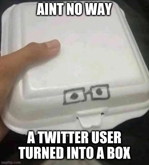 Nerd box | AINT NO WAY; A TWITTER USER TURNED INTO A BOX | image tagged in nerd box | made w/ Imgflip meme maker