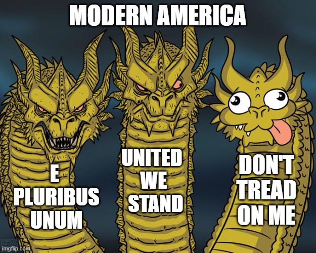 Words Have Meaning | MODERN AMERICA; UNITED 
WE
 STAND; DON'T TREAD ON ME; E 
PLURIBUS
UNUM | image tagged in three-headed dragon,neckbeard libertarian,america,murica | made w/ Imgflip meme maker