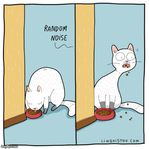A Cat's Way Of Thinking | image tagged in memes,comics,cats,noise,omg,what's going on | made w/ Imgflip meme maker