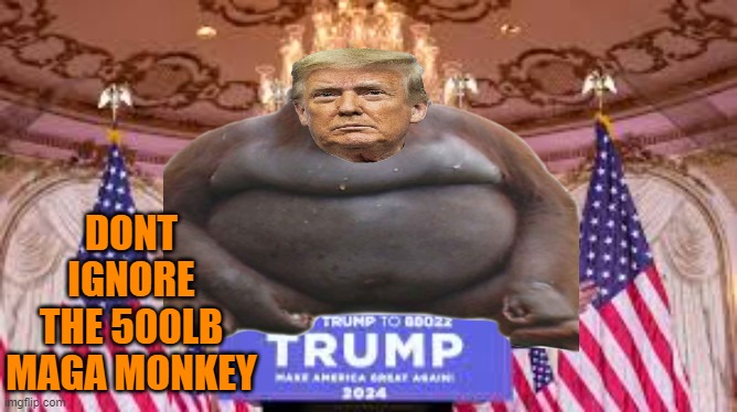 DONT IGNORE THE 500LB MAGA MONKEY | made w/ Imgflip meme maker