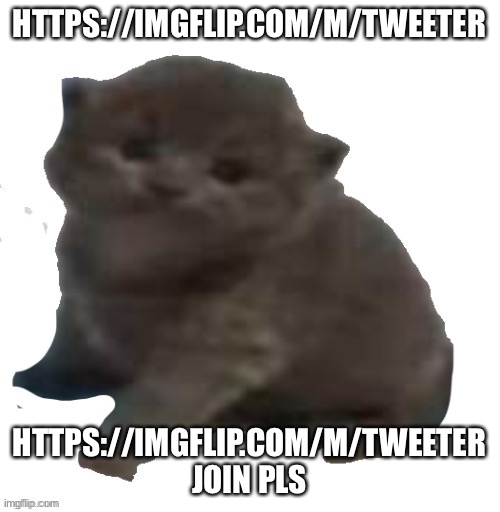 Post there like it’s msmg | HTTPS://IMGFLIP.COM/M/TWEETER; HTTPS://IMGFLIP.COM/M/TWEETER JOIN PLS | made w/ Imgflip meme maker