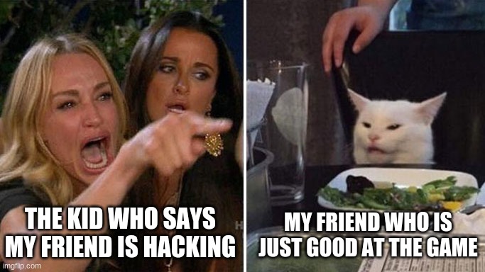 Angry lady cat | THE KID WHO SAYS MY FRIEND IS HACKING; MY FRIEND WHO IS JUST GOOD AT THE GAME | image tagged in angry lady cat | made w/ Imgflip meme maker