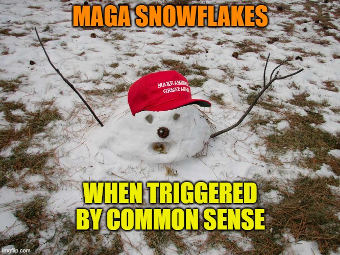 Republican snowmen | MAGA SNOWFLAKES; WHEN TRIGGERED BY COMMON SENSE | image tagged in melted snowman,maga,donald trump,political meme,triggered | made w/ Imgflip meme maker