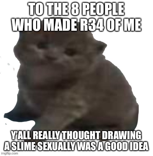 TO THE 8 PEOPLE WHO MADE R34 OF ME; Y’ALL REALLY THOUGHT DRAWING A SLIME SEXUALLY WAS A GOOD IDEA | made w/ Imgflip meme maker