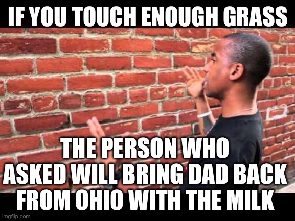 All missing dads are in Ohio. They were supposed to take you to King’s Island but just went there alone | IF YOU TOUCH ENOUGH GRASS; THE PERSON WHO ASKED WILL BRING DAD BACK FROM OHIO WITH THE MILK | image tagged in brick wall guy,ohio,milk,who asked | made w/ Imgflip meme maker