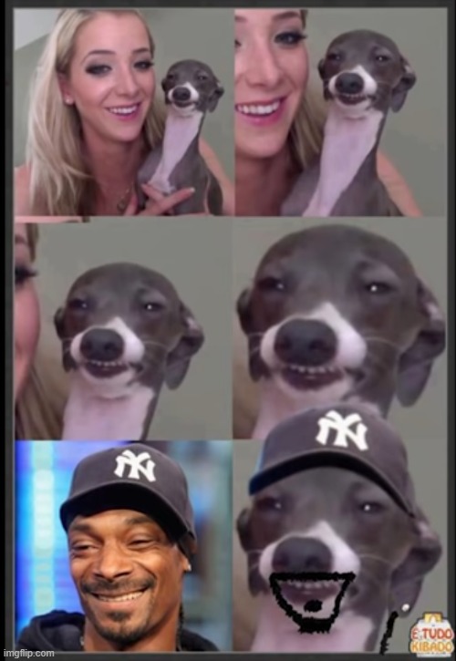 dog becoming snoop dog | image tagged in dogs | made w/ Imgflip meme maker