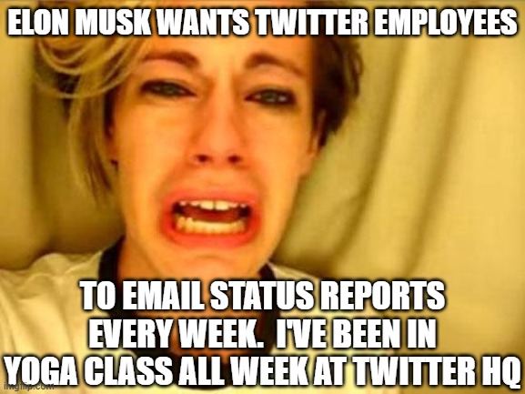 Leave Britney Alone | ELON MUSK WANTS TWITTER EMPLOYEES; TO EMAIL STATUS REPORTS EVERY WEEK.  I'VE BEEN IN YOGA CLASS ALL WEEK AT TWITTER HQ | image tagged in leave britney alone | made w/ Imgflip meme maker