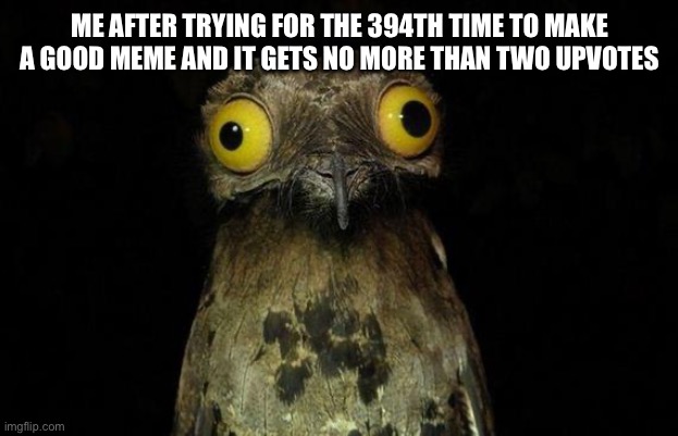 I’m going crazy | ME AFTER TRYING FOR THE 394TH TIME TO MAKE A GOOD MEME AND IT GETS NO MORE THAN TWO UPVOTES | image tagged in memes,weird stuff i do potoo | made w/ Imgflip meme maker