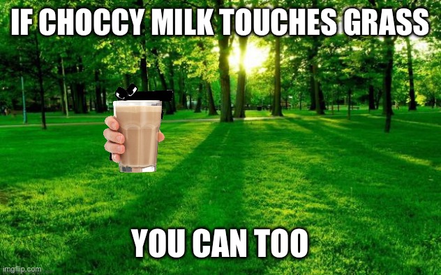 Really we should bring back choccy milk | IF CHOCCY MILK TOUCHES GRASS; YOU CAN TOO | image tagged in grass and trees,choccy milk | made w/ Imgflip meme maker