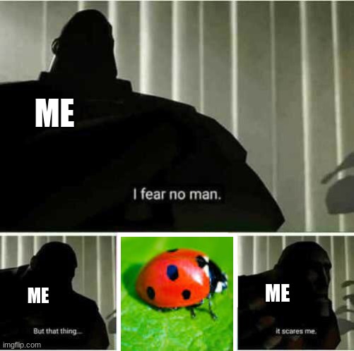 this is truw btw | ME; ME; ME | image tagged in i fear no man,memes,ladybug | made w/ Imgflip meme maker