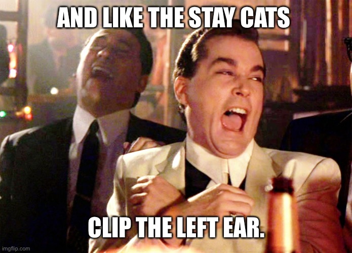 Good Fellas Hilarious Meme | AND LIKE THE STAY CATS CLIP THE LEFT EAR. | image tagged in memes,good fellas hilarious | made w/ Imgflip meme maker