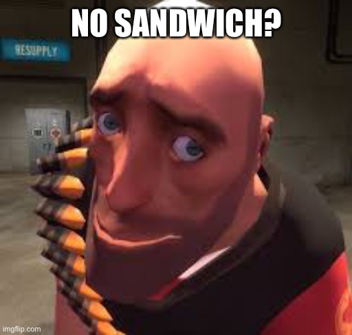 NO SANDWICH? | made w/ Imgflip meme maker