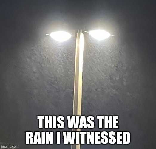 I didn't even get drenched, it acted almost like snow | THIS WAS THE RAIN I WITNESSED | made w/ Imgflip meme maker
